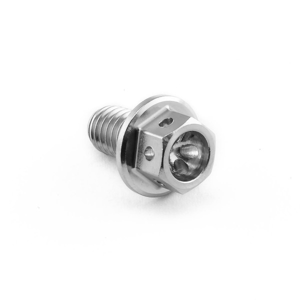 Vite Inox testa esagonale flangiata M6 x (100mm) x 10mm Testa Forata