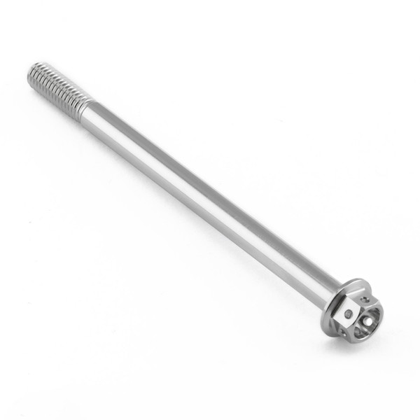 Vite Inox testa esagonale flangiata M6 x (100mm) x 90mm Testa Forata