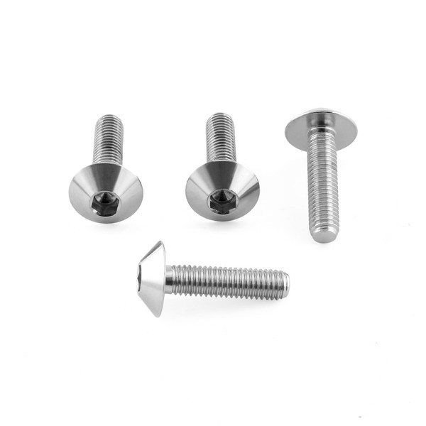 Kit 4 Viti Inox Plexiglass