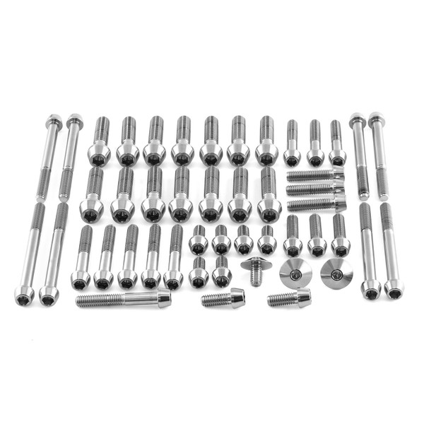 Kit Viti Inox Carter Motore - Indian Chieftain - Dark Horse/Elite/Premium/Standard Thunderstroke 111/116