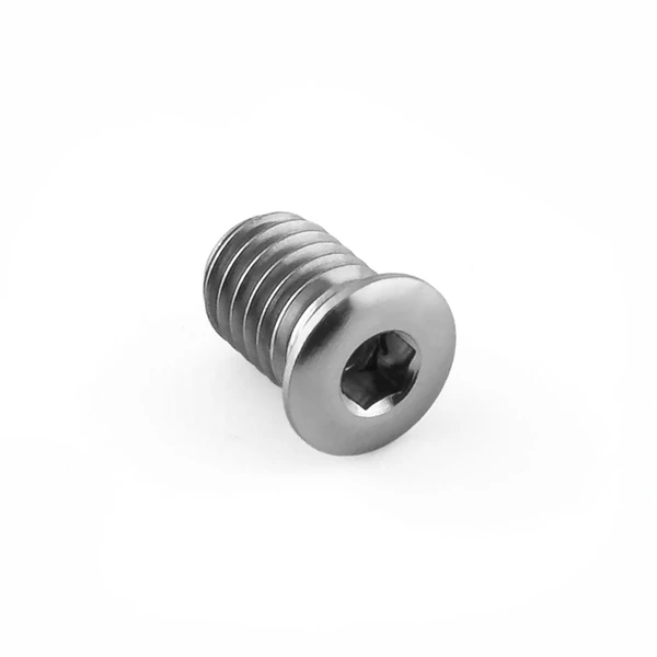 Viti brugola testa bombata titanio M5 x (0.80mm) x 7mm Testa piatta