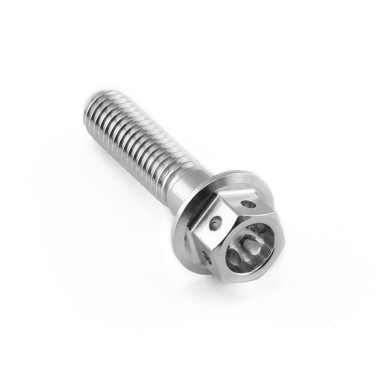 Vite Inox testa esagonale flangiata M6 x (100mm) x 25mm Testa Forata