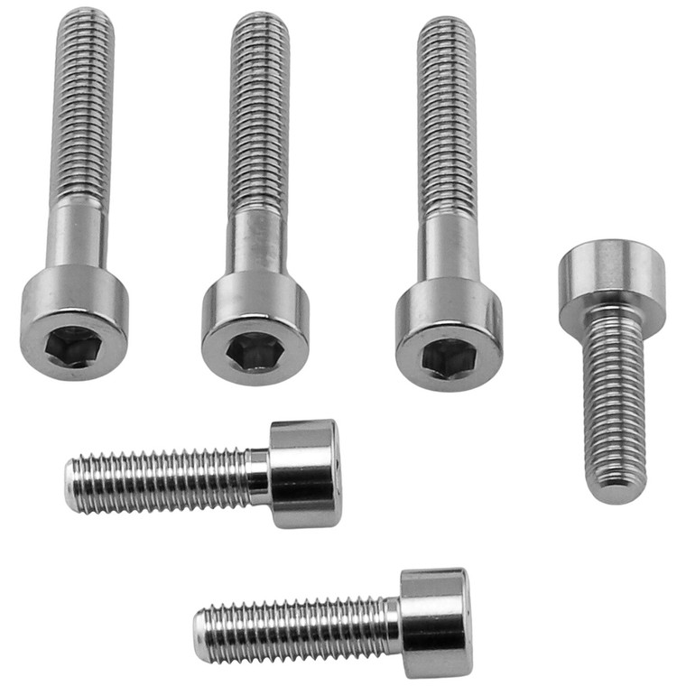 Viti Inox Tappo Serbatoio Aprilia RS250 Replica