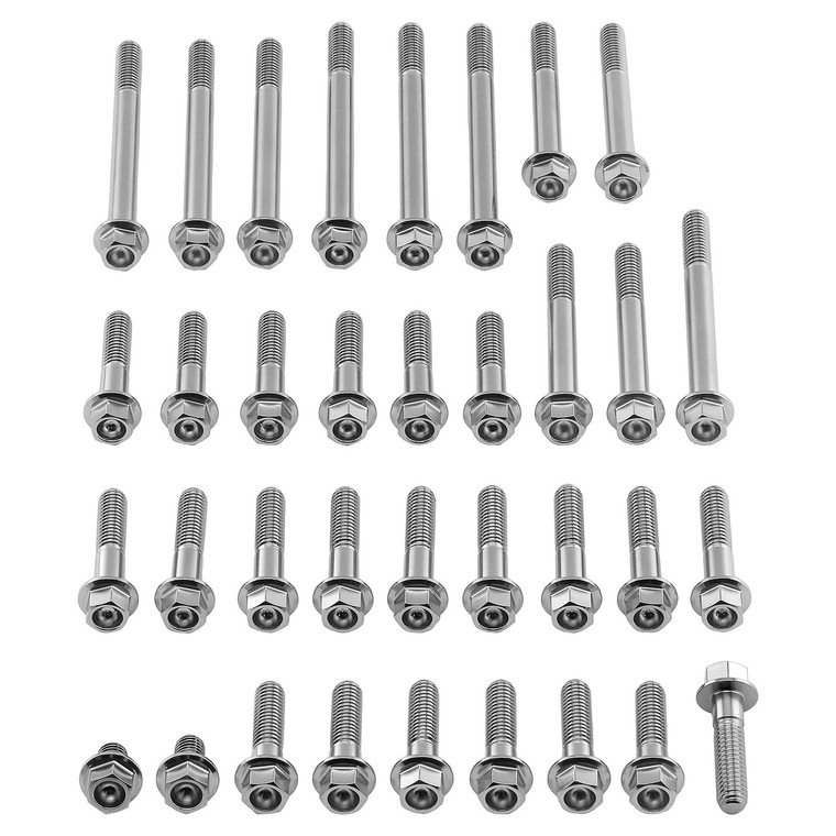 Kit Viti Inox Carter Motore Yamaha YZ250 Testa Esagonale