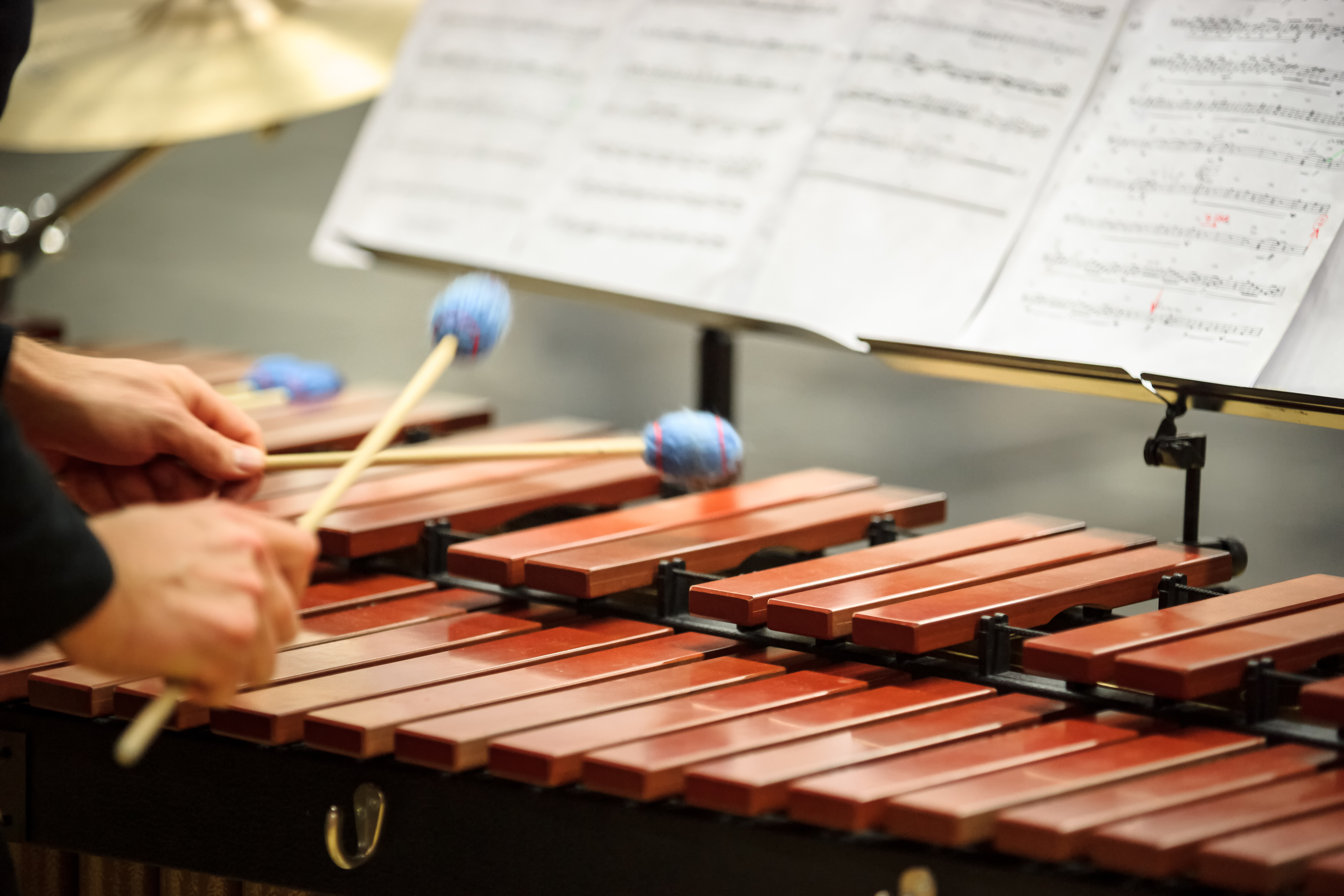 Exploring the Different Personalities of Percussion Instruments You Could Choose