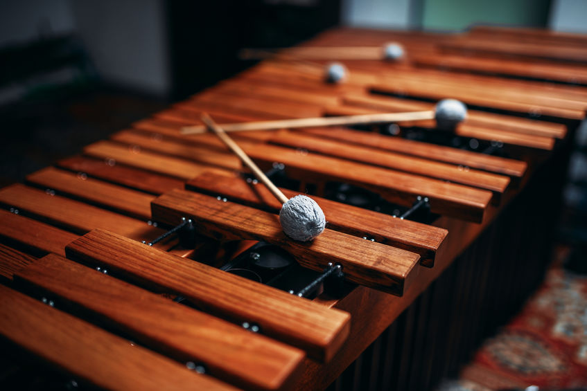 What is the Difference Between the Marimba and the Xylophone?