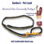 Navy & Gold Pro Pet Lead