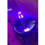 2 Wire Single Color 1157 LED Bulb