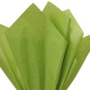 Oasis Green  Premium Colored Tissue Paper 20x30 per ream 480 sheets