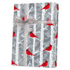 24" x 200' Birchwoods Gift Wrap