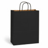 Vanity 10" x 5" x 13.5" Matte Black Paper Shopping Bags