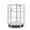 Extra Vision Corner Showcase with Locking Door - 38"h x 20"square
