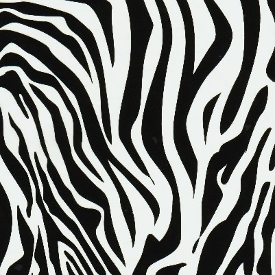 Zebra Pattern Tissue Paper 20” x 30”