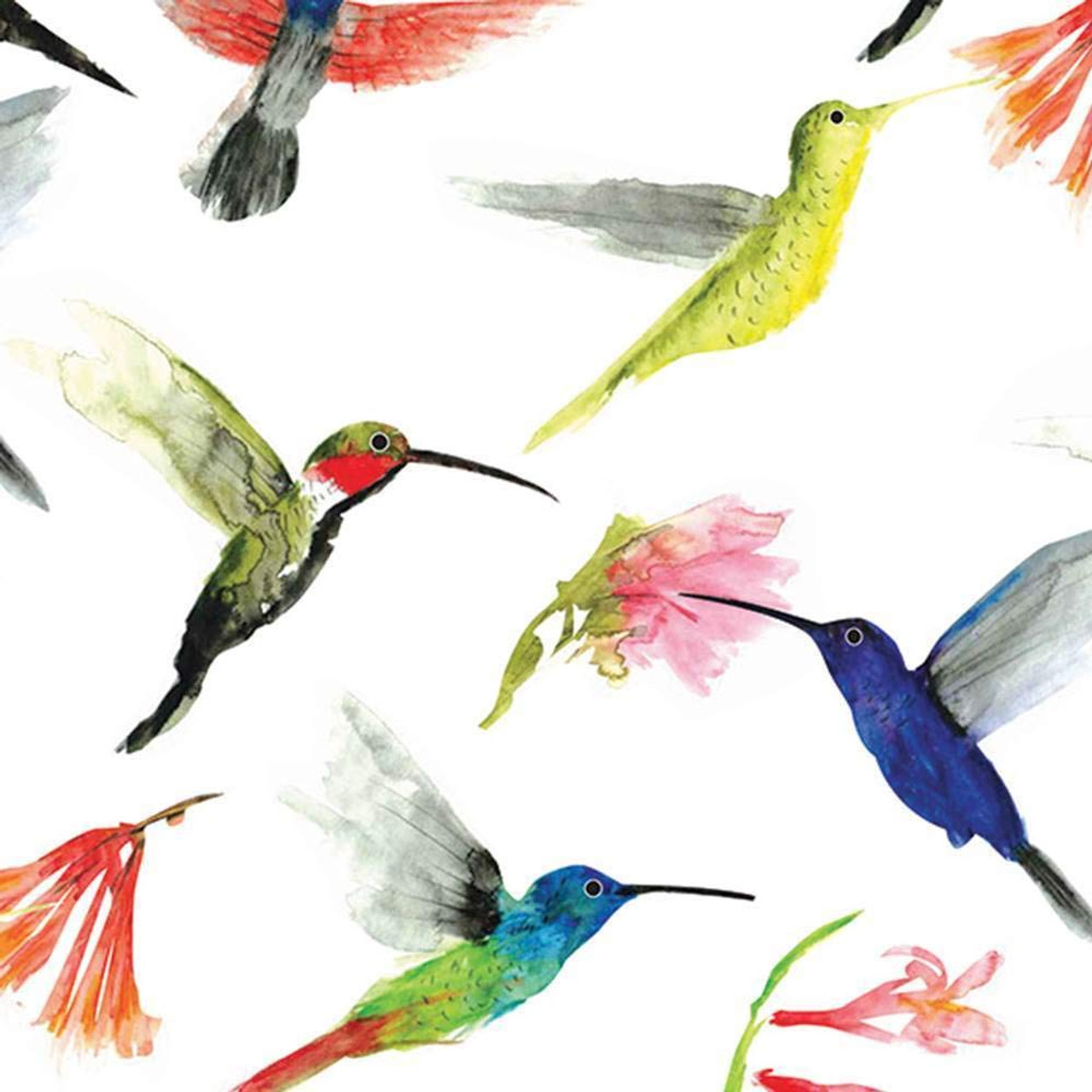 20x30 Hummingbirds Pattern Tissue Paper per ream or 240 sheets