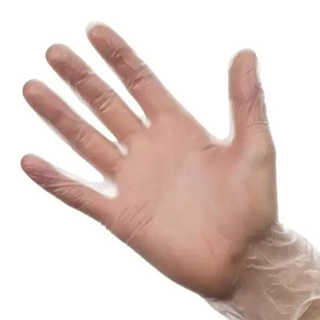 Clear Vinyl Powder Free Gloves - X-Large