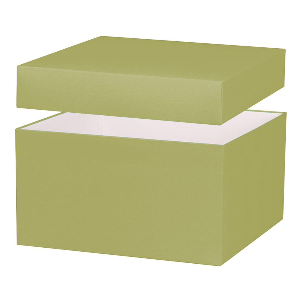 10"x10"x5-1/2" Deluxe Gourmet Gift box - Sage
