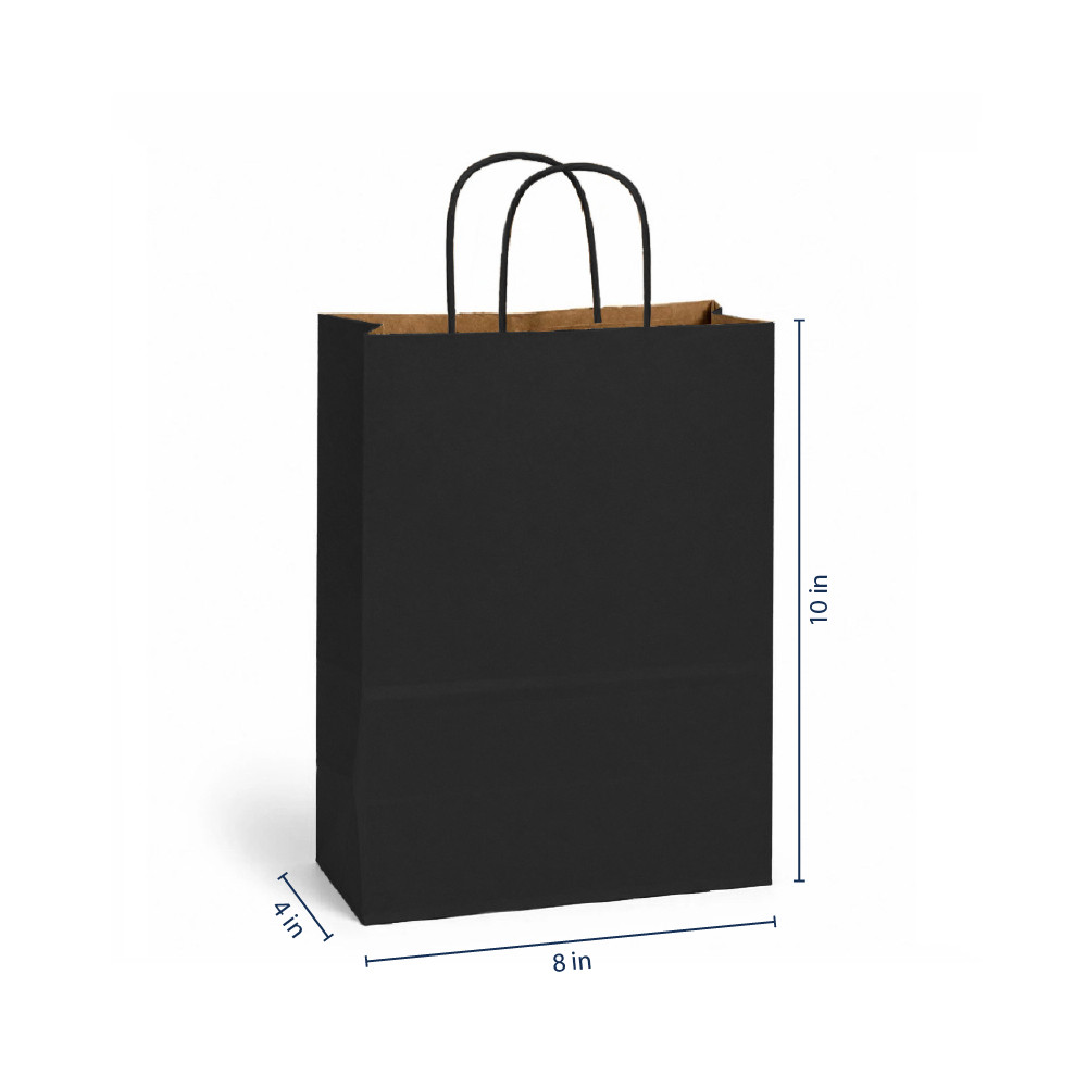Petite 8" x 4.5" x 10.5" Matte Black Paper Shopping Bags