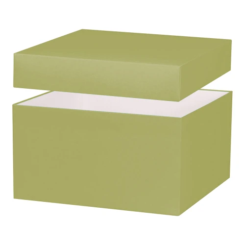 10"x10"x5-1/2" Deluxe Gourmet Gift box - Sage