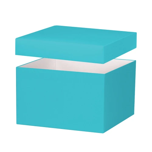 8"x8"x5" Deluxe Gourmet Gift box - Robins Egg Blue
