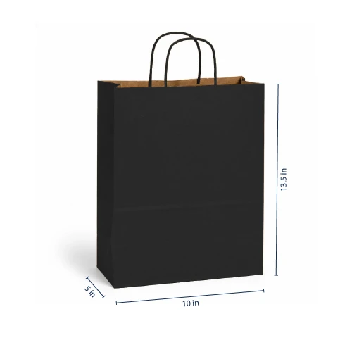 Vanity 10" x 5" x 13.5" Matte Black Paper Shopping Bags