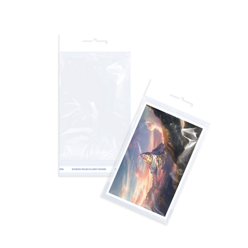 Clear 6" x 9" Self Adhesive Cellophane Bags with hanging holes