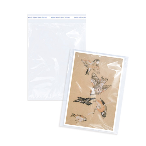 Clear 1.2 mil 9" x 12" Self Adhesive Polypropylene Cellophane Bags