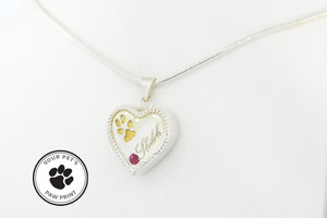Shown with Gold Paw Shown with Gold Paw