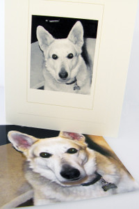 4 Paws Sympathy Card with Tree - Create Your Own