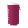 Pantone 7636C Red BlueTooth Speaker