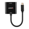 Lindy USB (C) to DP Converter