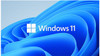 Microsoft Windows 11 Professional for Workstation 64 BIT - By Order