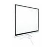 85 TRIPOD 11 PORTABLE PROJECTOR SCREEN