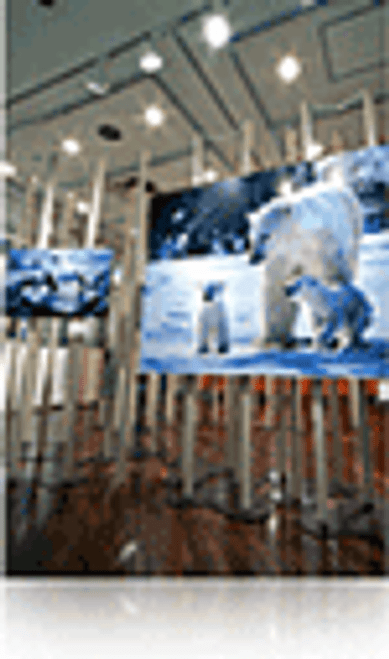 Epson S042076 Photo Paper Premium Gloss Roll 165gsm 16.5" x 30.5m Epson S042076 Photo Paper Premium Gloss Roll 165gsm 16.5" x 30.5m