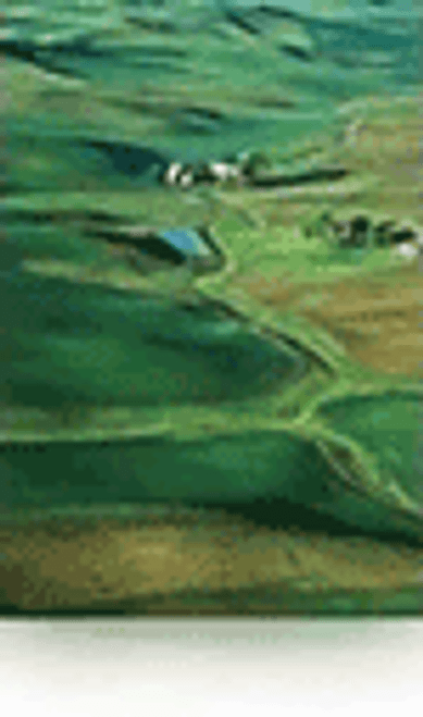 Epson S042075 Paper Roll 165gsm 16.5" - 30.5 Metres Epson S042075 Paper Roll 165gsm 16.5" - 30.5 Metres