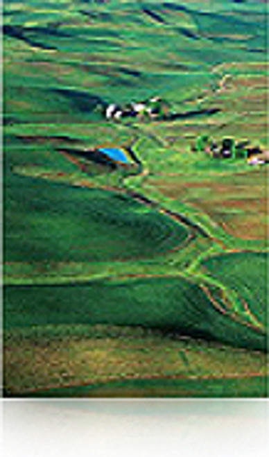 Epson Photo Paper Premium Semigloss (250) 24" Roll Media Epson Photo Paper Premium Semigloss (250) 24" Roll Media