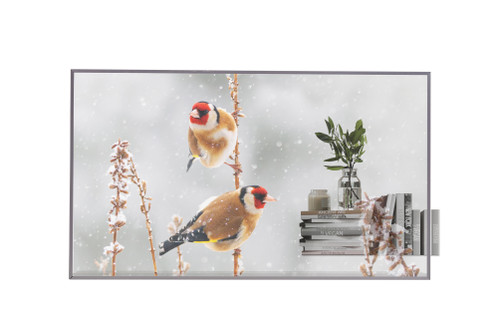 LG 55 55EW5P OLED FHD WEBOS 7.5 TRANSPARENT OPEN FRAME 18/7 DSP - MOVING CONTENT ONLY LG 55 55EW5P OLED FHD WEBOS 7.5 TRANSPARENT OPEN FRAME 18/7 DSP - MOVING CONTENT ONLY