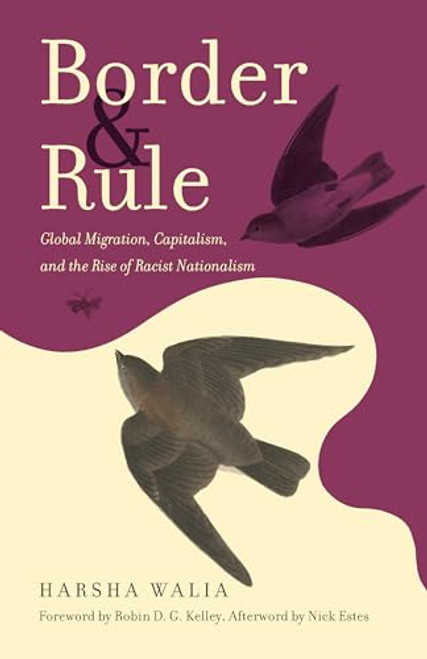 Border and Rule: Global Migration, Capitalism, and the Rise of Racist Nationalism