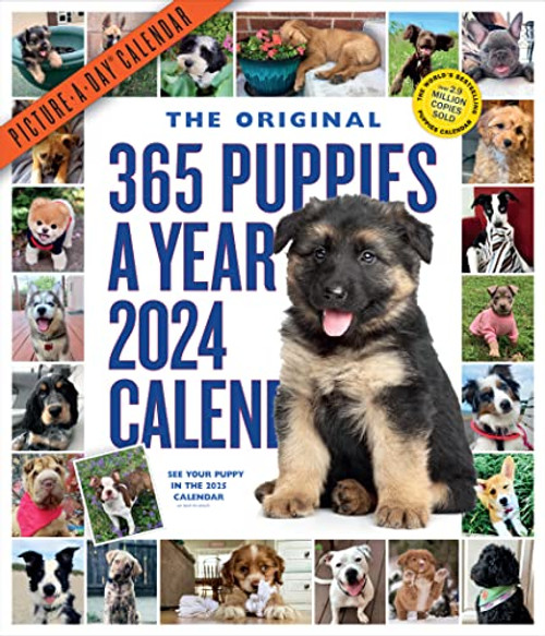 365 Puppies-A-Year Picture-A-Day Wall Calendar 2024: Absolutely Spilling Over With Puppies