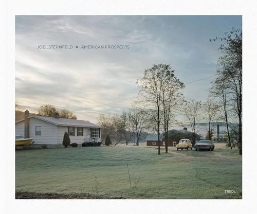 Joel Sternfeld: American Prospects