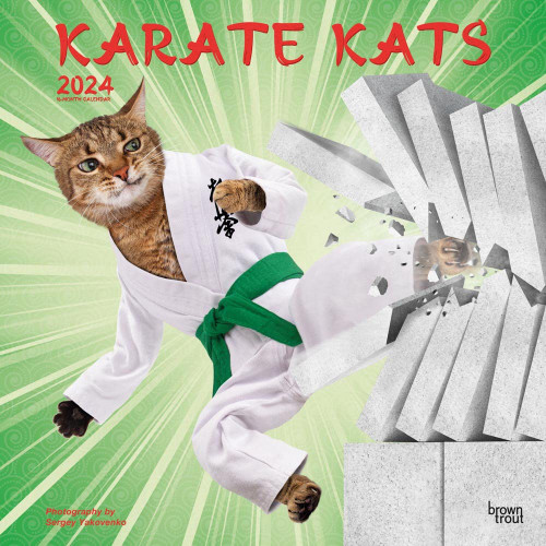Karate Cats | 2024 12 x 24 Inch Monthly Square Wall Calendar | BrownTrout | Pets Funny Animals Feline