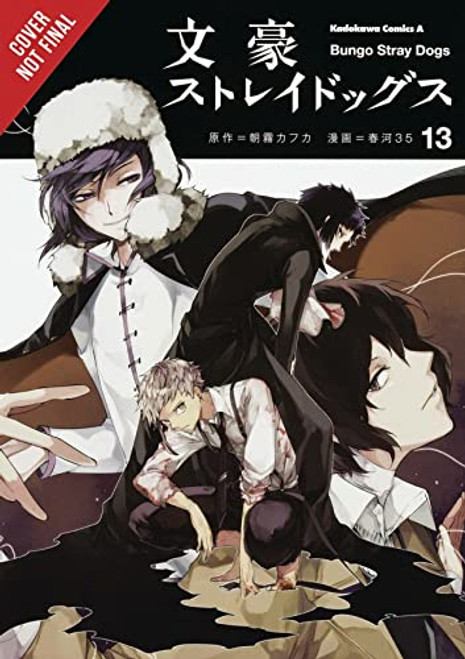 Bungo Stray Dogs, Vol. 13 (Bungo Stray Dogs, 13)