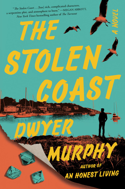 The Stolen Coast: A Novel