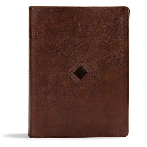 CSB Day-by-Day Chronological Bible, Brown Leathertouch, Black Letter, 365 Day, One Year, Reading Plan, Single-Column, Easy-to-Read Bible Serif Type