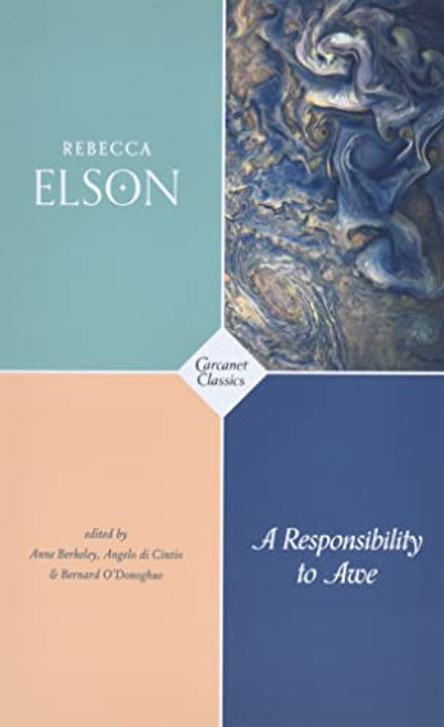 A Responsibility to Awe (Carcanet Classics)