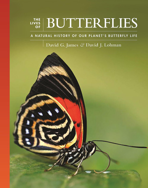 The Lives of Butterflies: A Natural History of Our Planet's Butterfly Life (The Lives of the Natural World, 6)