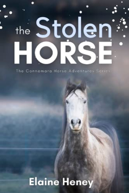 The Stolen Horse - Book 4 in the Connemara Horse Adventure Series for Kids | The Perfect Gift for Children age 8-12 (Connemara Adventures)