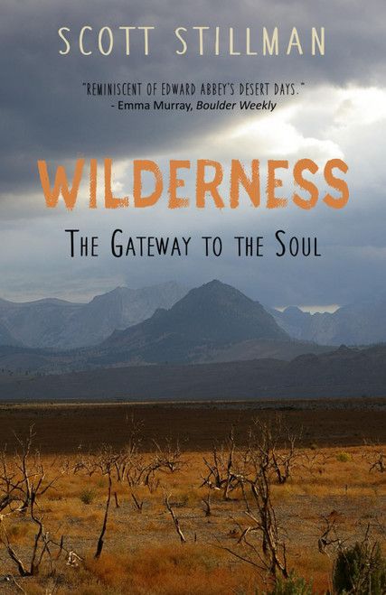 Wilderness, The Gateway To The Soul: Spiritual Enlightenment Through Wilderness (Nature Book Series)