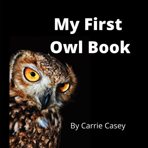 My First Owl Book: A Rhyming Animal Book for Young Children (My First Animal Books)
