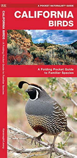 California Birds: A Folding Pocket Guide to Familiar Species (Wildlife and Nature Identification)