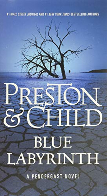 Blue Labyrinth (Agent Pendergast Series, 14)